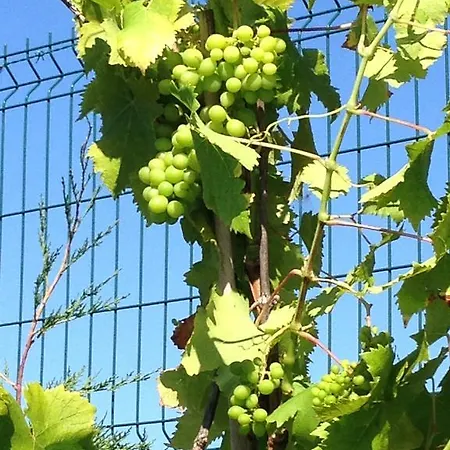 Gasthof Villa Argomaniz Argómaniz