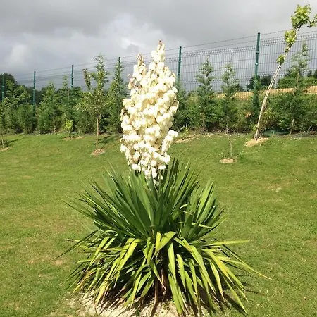 Maison d'hôtes Villa Argomaniz Argómaniz