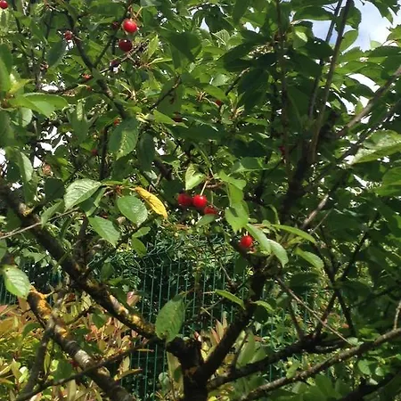 Villa Argomaniz Maison d'hôtes *