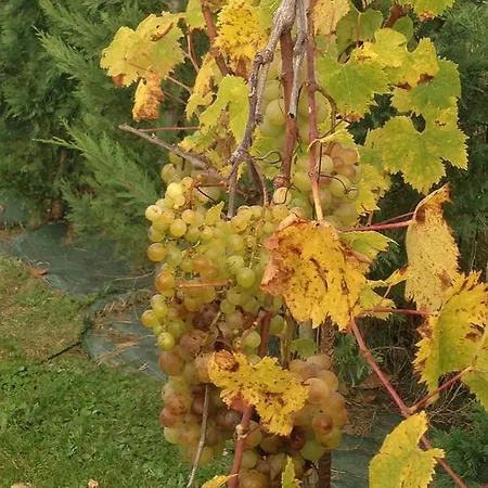 Villa Argomaniz Argómaniz