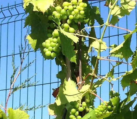 Penzion Villa Argomaniz Argómaniz