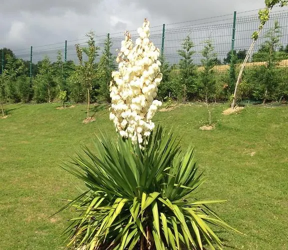 Penzion Villa Argomaniz Argómaniz